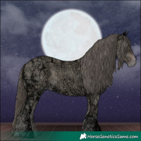 Horse Color:Classic Cream Champagne Ice