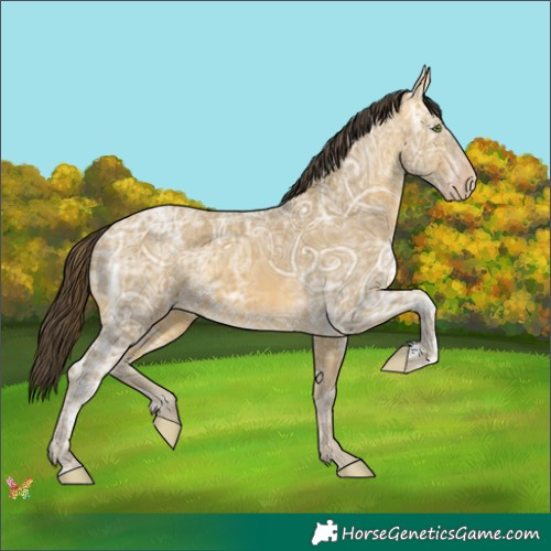 Horse Color:Sable Cream Champagne Ice 