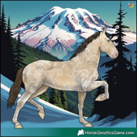 Horse Color:Sable Cream Champagne Ice 