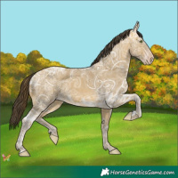 Horse Color:Sable Cream Champagne Ice