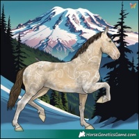 Horse Color:Sable Cream Champagne Ice 
