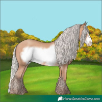 Horse Color:Silver Amber Champagne Frame 