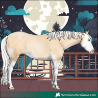 Horse Color:Silver Buckskin Pearl Sabino Splash 
