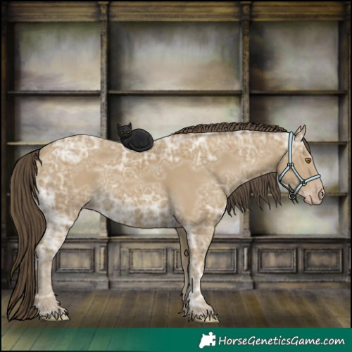 Horse Color:Classic Cream Champagne Ice 