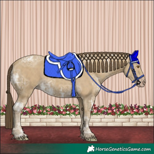 Horse Color:Classic Cream Champagne Ice 