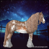 Horse Color:White Spotted Chestnut Sabino Frame 