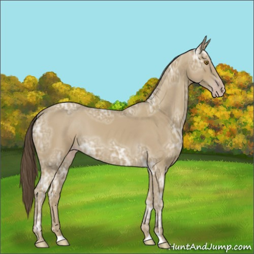 Horse Color:Classic Cream Champagne Ice 