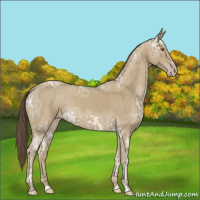 Horse Color:Classic Cream Champagne Ice 