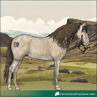 Horse Color:Classic Cream Champagne Ice Dun 