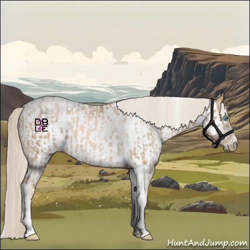 Horse Color:Chocolate Palomino Roan Pearl Tobiano Frame and Chocolate Palomino Roan Pearl Tobiano Frame Appaloosa