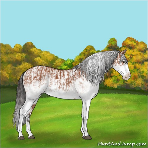 Horse Color:White Spotted Bay Splash  and White Spotted Bay Splash 