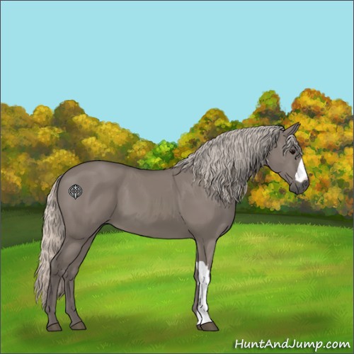 Horse Color:Silver Grullo 