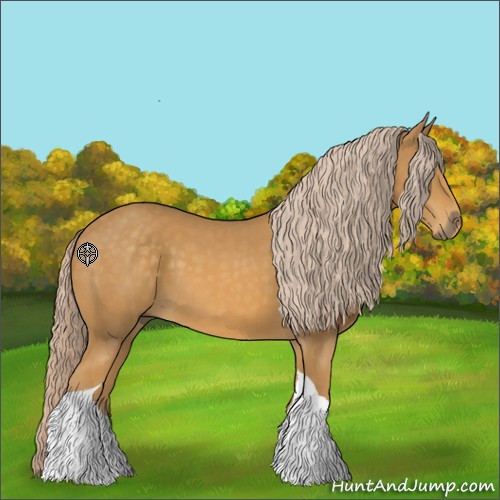 Horse Color:Palomino Tobiano 