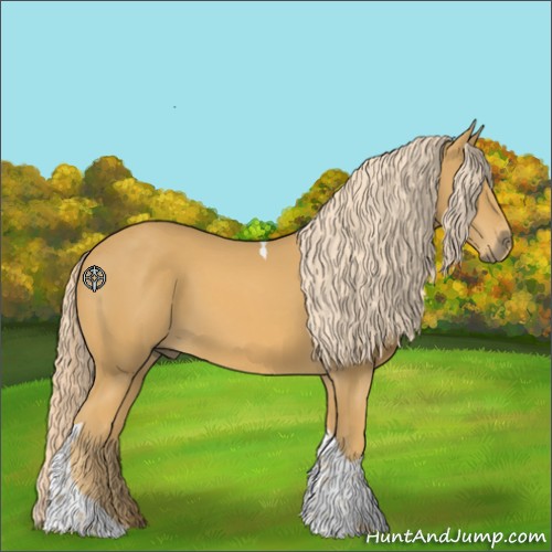 Horse Color:Palomino Tobiano 