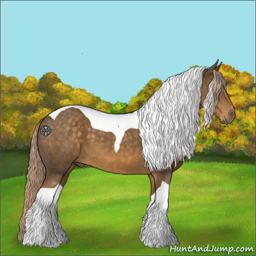 Horse Color:Chocolate Palomino Tobiano 