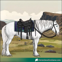 Horse Color:Smoky Creme Ice 