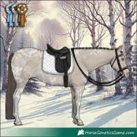 Horse Color:Classic Cream Champagne Ice 