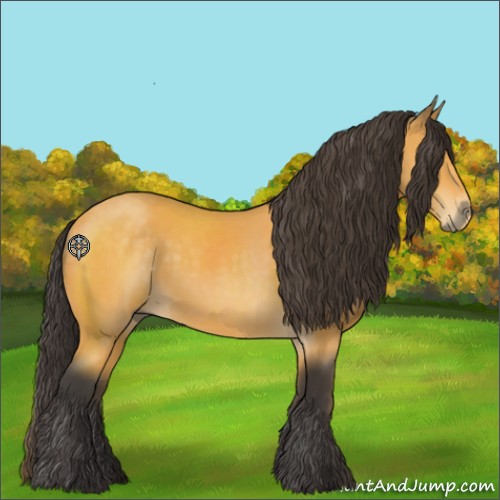 Horse Color:Buckskin 