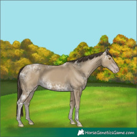 Horse Color:Classic Cream Champagne Ice 