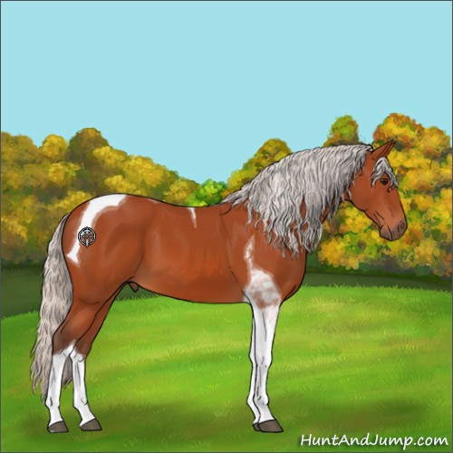 Horse Color:Silver Bay Tobiano 
