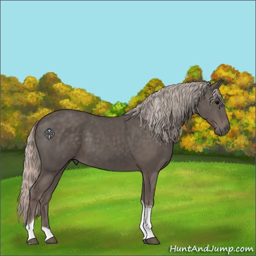 Horse Color:Silver Black Tobiano 