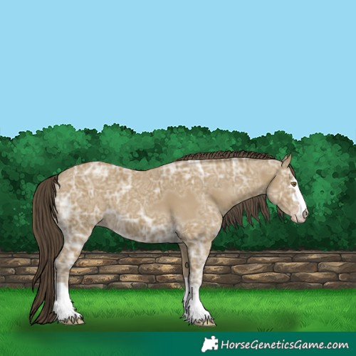 Horse Color:Classic Cream Champagne Ice 