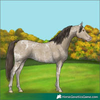 Horse Color:Classic Cream Champagne Ice 