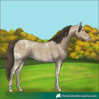 Horse Color:Classic Cream Champagne Ice 