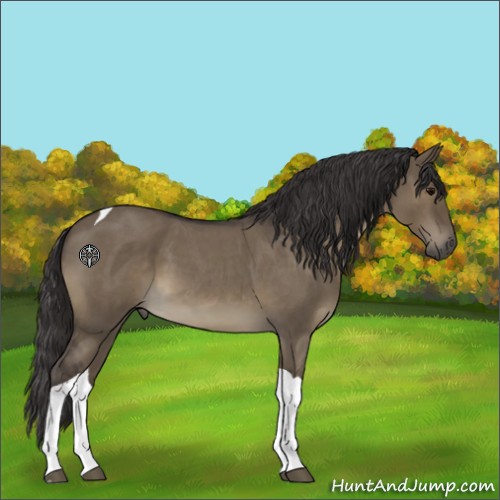 Horse Color:Smoky Grullo Roan Tobiano 