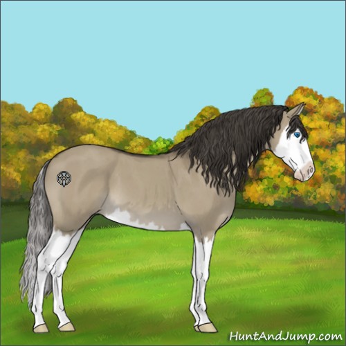 Horse Color:Smoky Grullo Roan Splash 