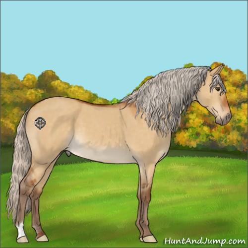 Horse Color:Silver Buckskin Roan Dun 