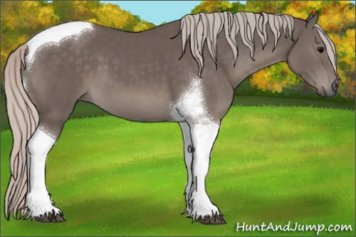 Horse Color:Silver Black Tobiano 