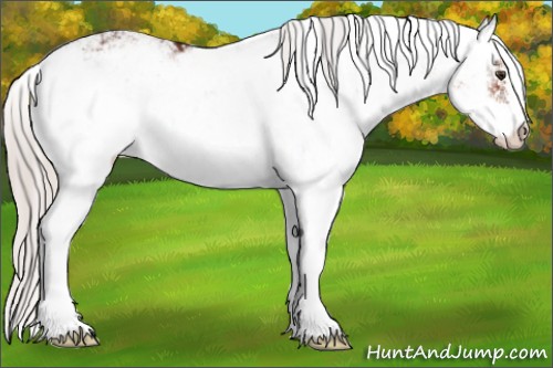 Horse Color:Silver Brown Sabino 