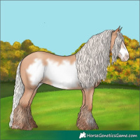 Horse Color:Silver Amber Champagne Frame 