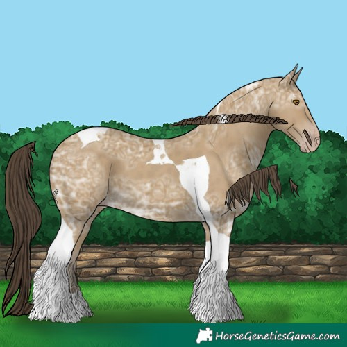 Horse Color:Classic Cream Champagne Ice Tobiano