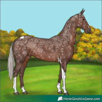 Horse Color:Chocolate Silver Black Ice Tobiano Rabicano 
