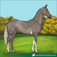 Horse Color:Silver Black Tobiano 