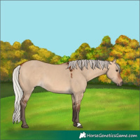 Horse Color:Silver Bay Dun 