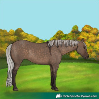 Horse Color:Silver Brown Dun 