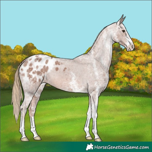 Horse Color:White Spotted Chestnut Ice Blanket 