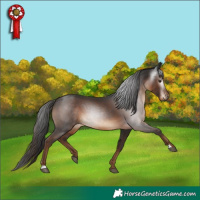 Horse Color:Gray Liver Chestnut