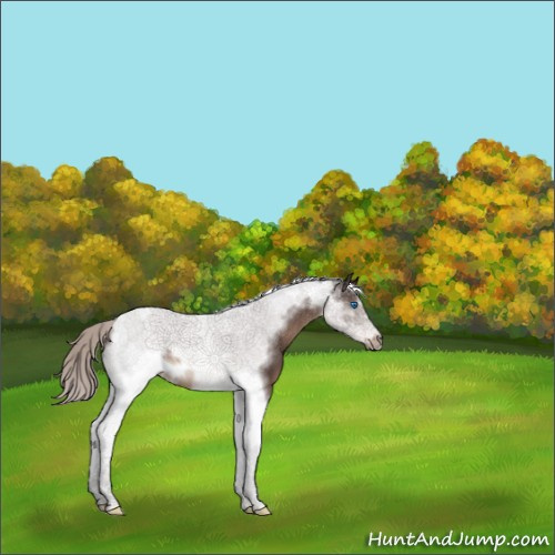 Horse Color:Silver Brown Tobiano Frame 