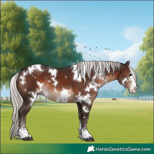 Horse Color:White Spotted Silver Brown Sabino 