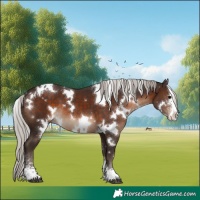 Horse Color:White Spotted Silver Brown Sabino
