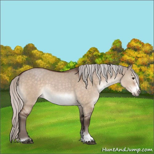 Horse Color:Silver Brown Dun Sabino Frame 