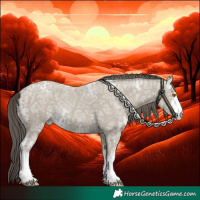 Horse Color:White Spotted Classic Cream Champagne Ice 