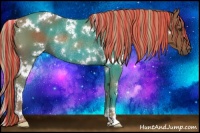 Horse Color:Painted White Spotted Chestnut Rabicano