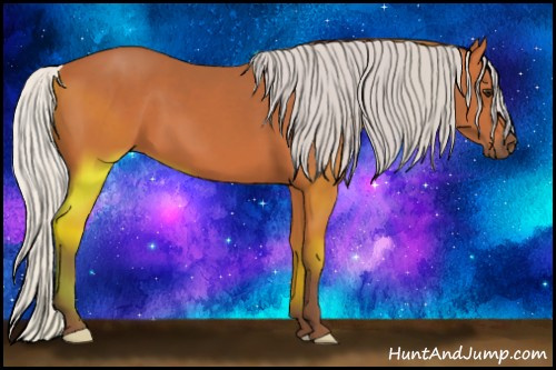 Horse Color:Silver Bay