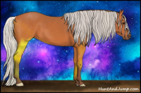 Horse Color:Silver Bay 