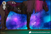 Horse Color:White Spotted Midnight Liver Chestnut Rabicano 